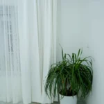 best construction company in Kerala