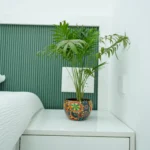 best construction company in Kerala